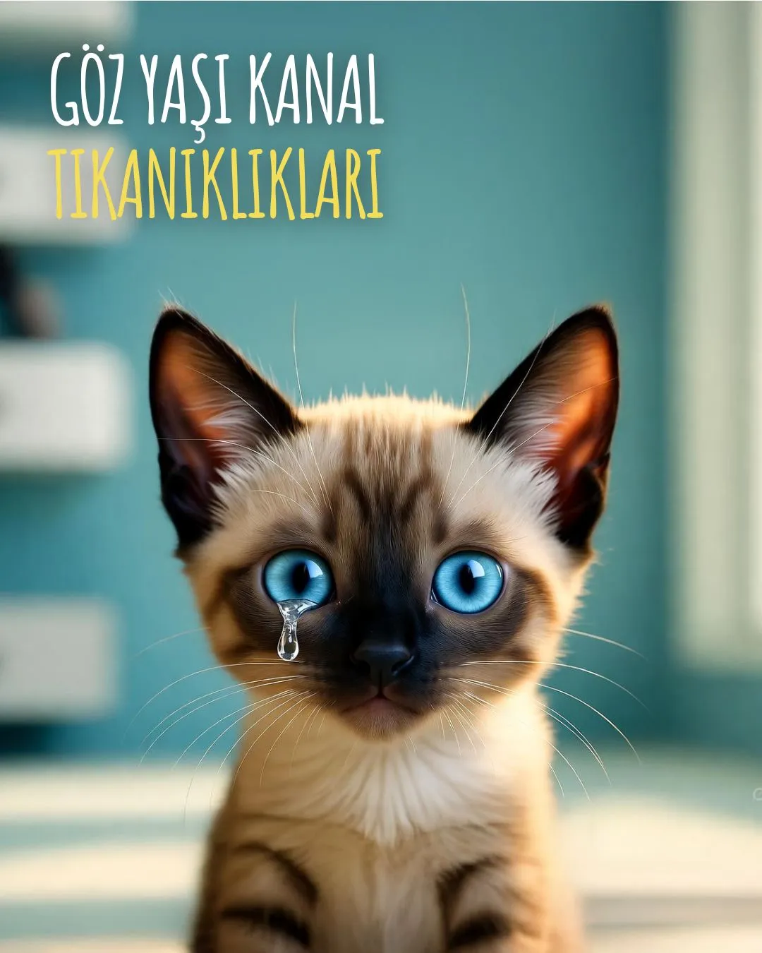 Göz Yaşı Kanal Tıkanıklıkları