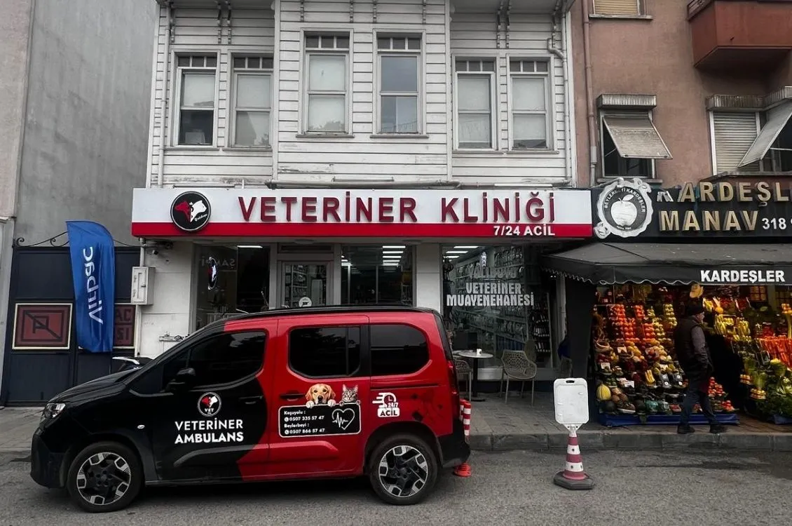 Beylerbeyi yalıboyu 24 saat açık nöbetçi veteriner kliniği