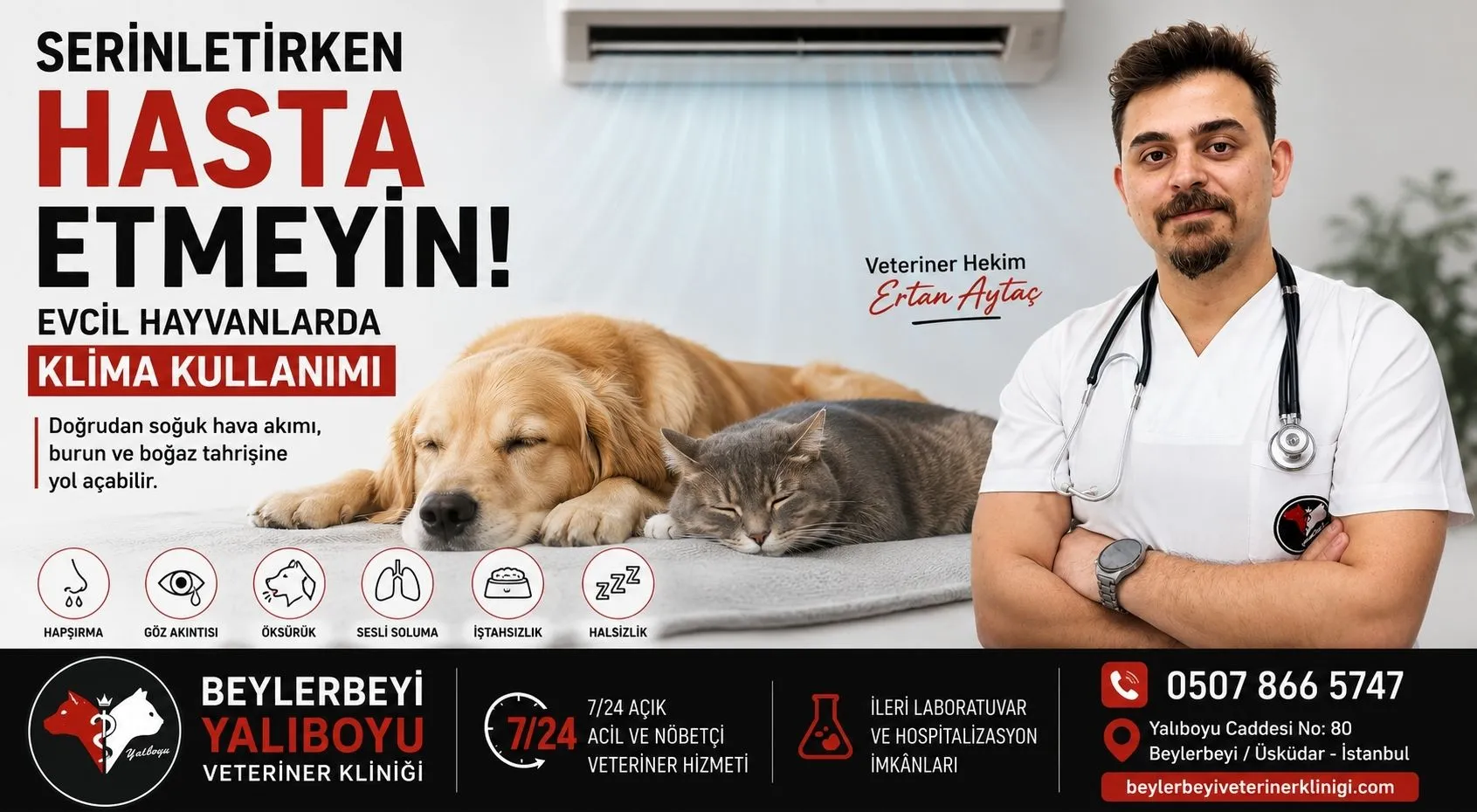 Evcil Hayvanlarda Klima Kullanımı
