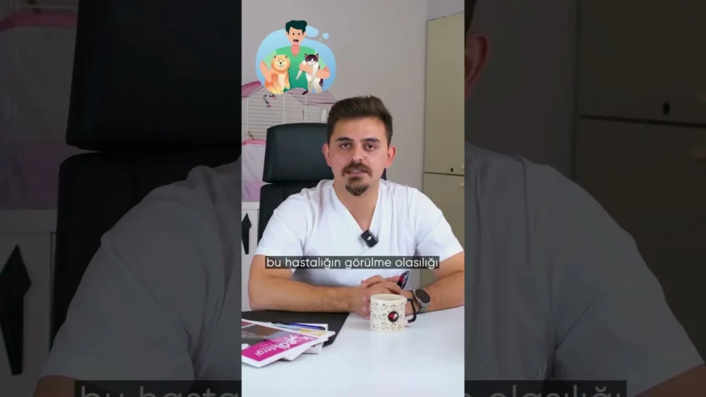 Kedi ve Köpeklerde Kalp Hastalıkları