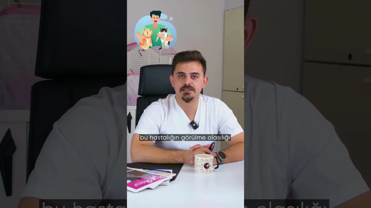 Kedi ve Köpeklerde Kalp Hastalıkları